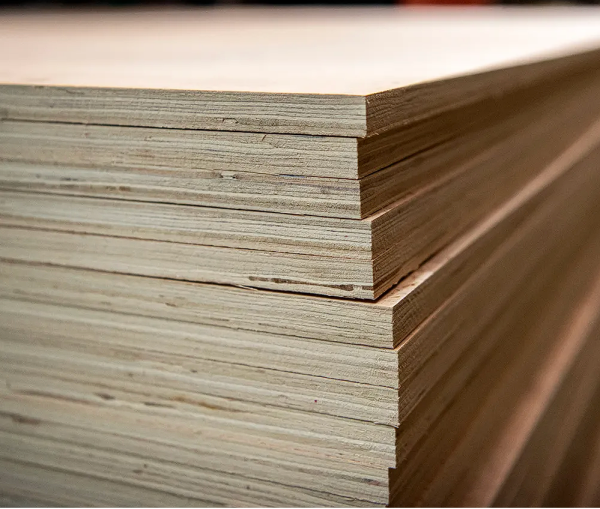 Hardwood Plywood Sheet (2440x1220mm) - Image 2