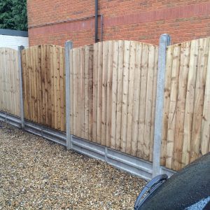 Arched Featheredge Panel