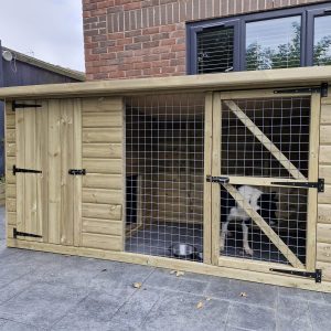 Dog Kennel & Run